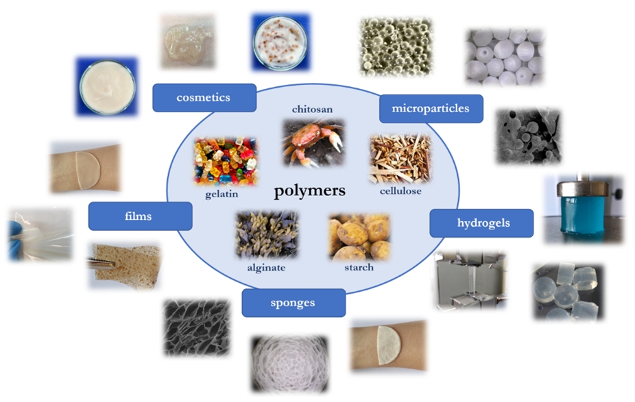 an illustration depicting applications of biopolymer materials