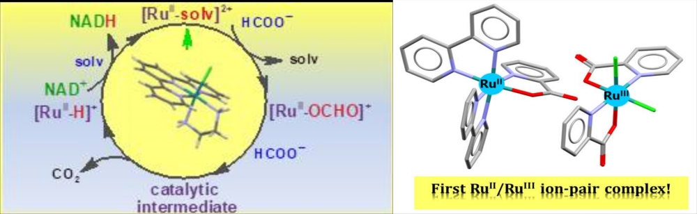 scheme of ruthenium complexes catalysed processes