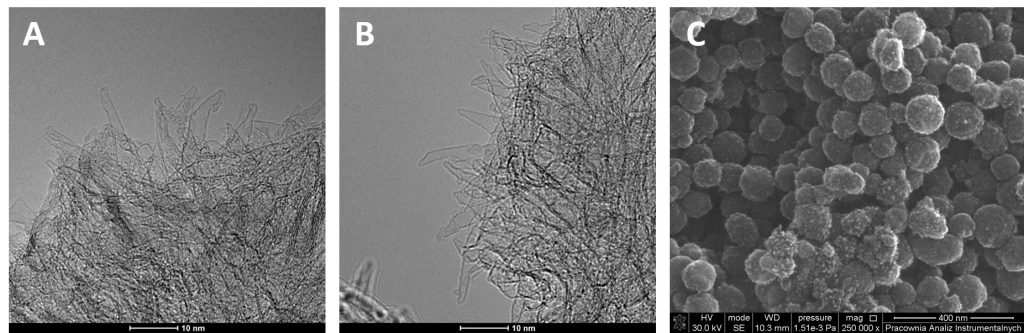 SEM microscope photos of carbon nanomaterials